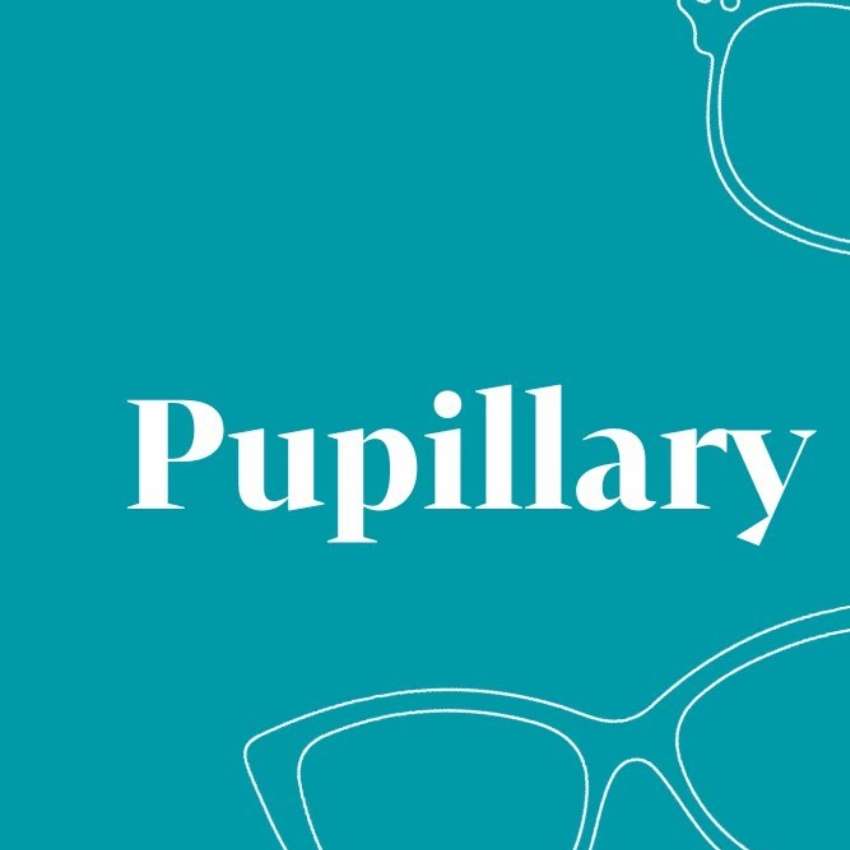 Pupillary text on teal background with partial outlines of eyeglasses at the top right and bottom left corners.