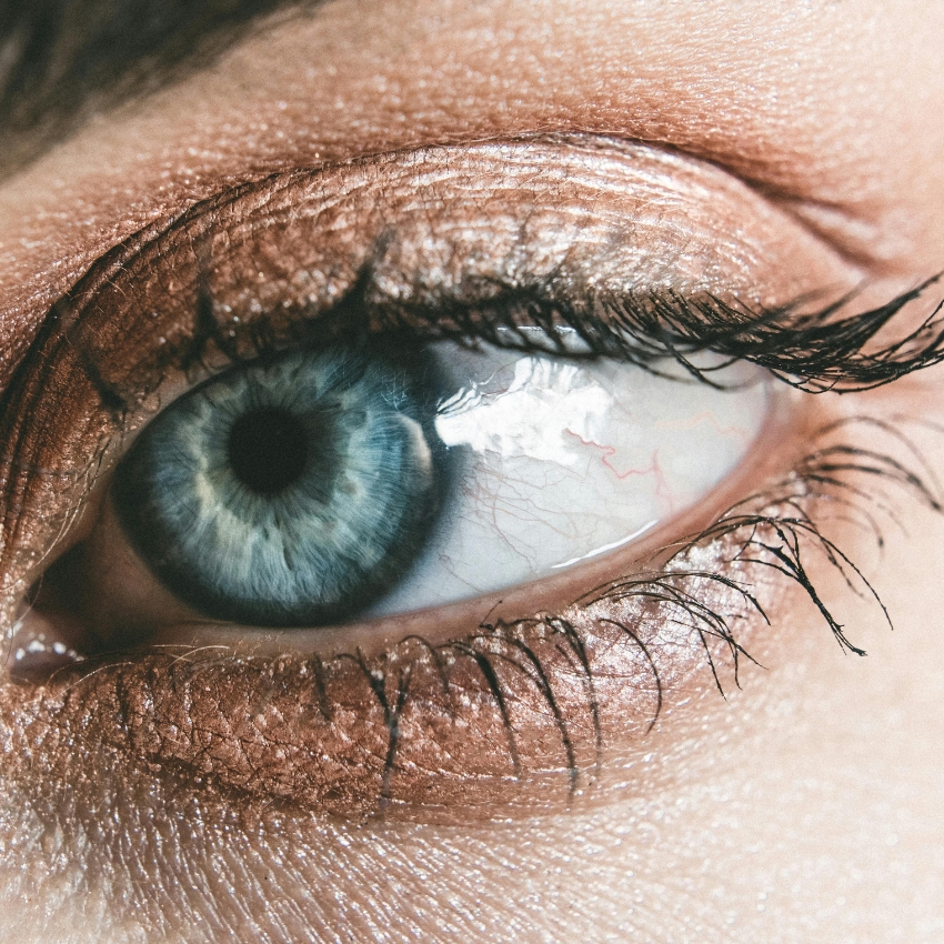 Close-up of a blue eye with defined lashes, wearing shimmery copper eyeshadow.
